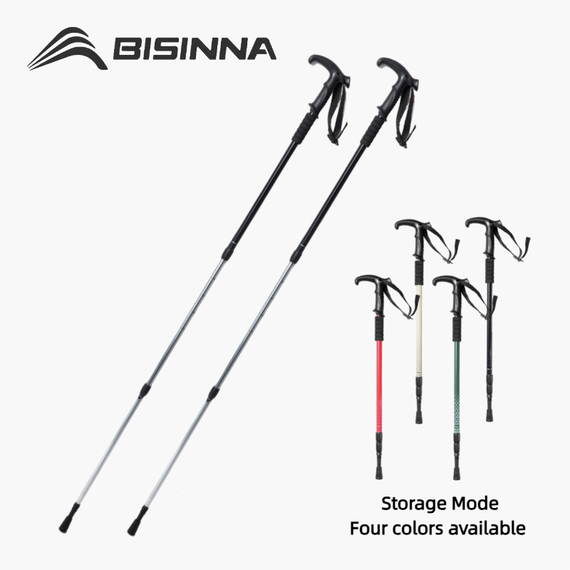 BISINNA 2PCS T Handle Walking  - огляд і ціна Trekking Pole Carbon